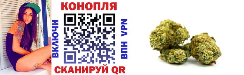 Бошки Шишки Amnesia  Ярославль 